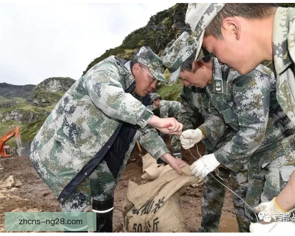 某清道夫战术职责变化，防线体系重新塑造